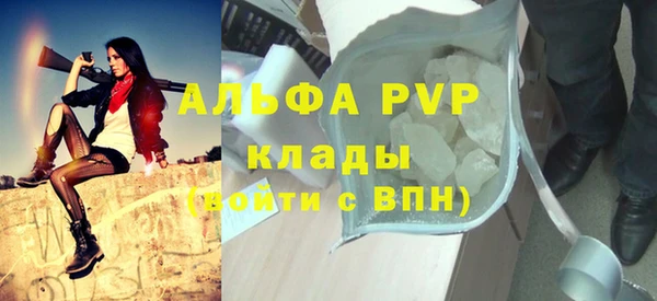 крисы Горняк