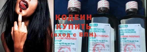стаф Гусь-Хрустальный