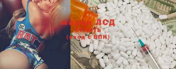 крисы Горняк