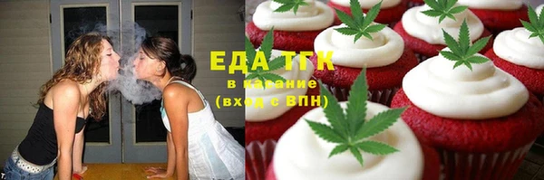 прущие грибы Горно-Алтайск