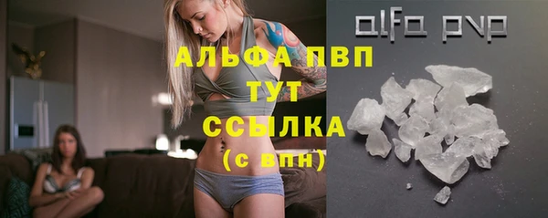 ГАЛЛЮЦИНОГЕННЫЕ ГРИБЫ Гусиноозёрск