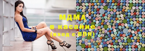 прущие грибы Горно-Алтайск