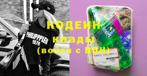 стаф Гусь-Хрустальный
