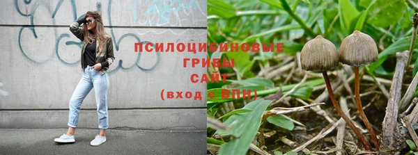 крисы Горняк