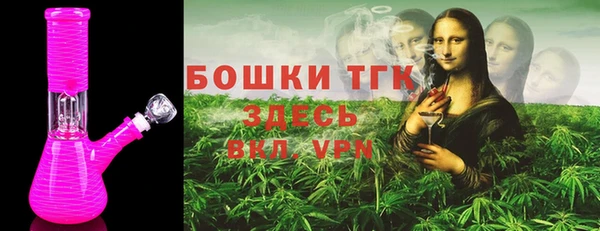 прущие грибы Горно-Алтайск
