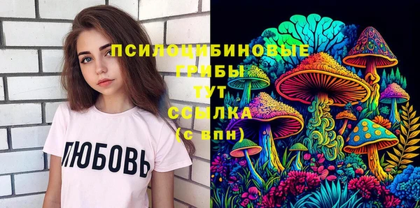крисы Горняк