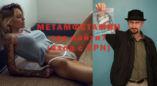 прущие грибы Горно-Алтайск