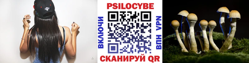Галлюциногенные грибы Cubensis  купить закладку  Мценск 